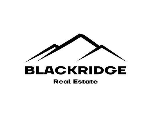 Black Ridge Real Estate LLC