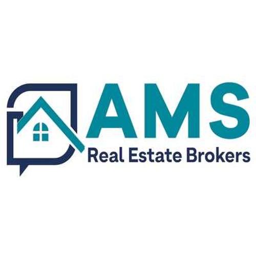 A M S Real Estate